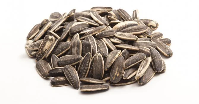 tournesol Réduit le cholestérol