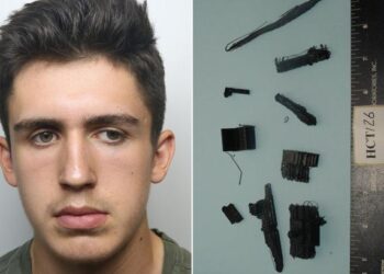 Un Britannique condamné pour des vidéos liées à des tueries aux Etats-Unis