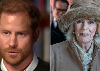 Le Prince Harry qualifie Camilla de « dangereuse »
