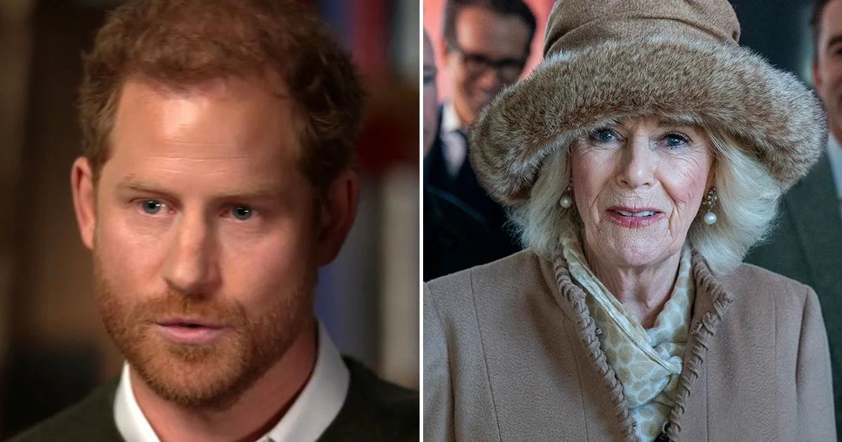 0_MAIN_Prince-Harrys-blistering-attacks-on-Camilla-as-he-calls-Queen-Consort-dangerous-villain-who-trad 0_MAIN_Prince-Harrys-blistering-attacks-on-Camilla-as-he-calls-Queen-Consort-dangerous-villain-who-trad