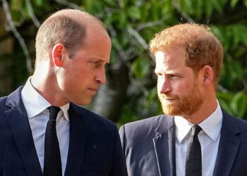 « Il me jette au sol » : le prince Harry raconte une violente altercation avec le prince William au sujet de Meghan Markle