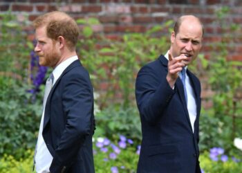 Ces propos choquants d’Harry sur Charlotte et Louis qui vont faire blêmir William et Kate