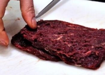 Marseille : Jusqu’à un an ferme requis dans l’affaire d’escroquerie à la viande de cheval