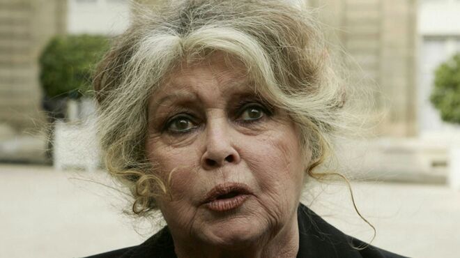 je ne supporte plus les demagos de tout poil la reponse de nicolas hulot a brigitte bardot Brigitte Bardot