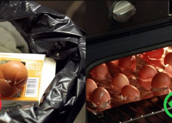 Transformez vos coquilles d’œufs en poudre pleine de calcium