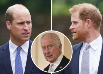 Charles III fait une faveur à William qui rend Harry vénère