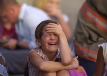 Bayeux : un bus dans le fossé, 60 enfants difficilement évacués