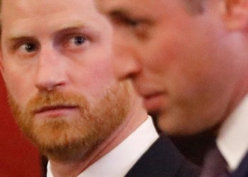 Le prince William snobe son frère Harry devant les caméras : “Il n’existe pas…”
