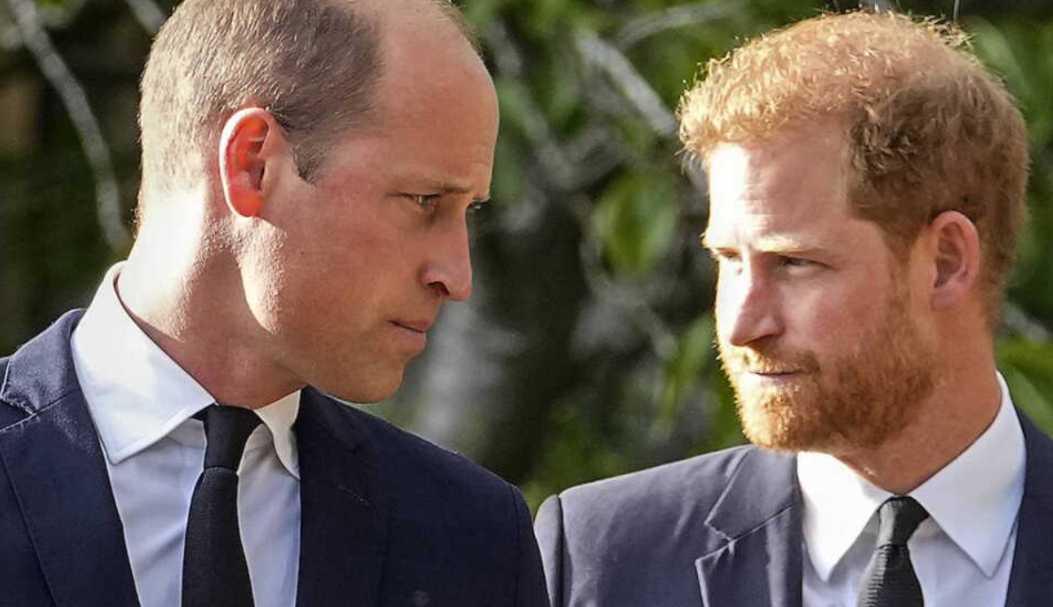 Capture decran 2024 05 21 125635 prince William,Harry