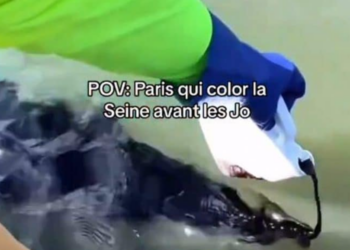 La Seine : du colorant bleu dans le fleuve ? Ces images qui enflamment la Toile
