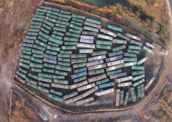 Test de vision : Que voit-on réellement sur l’image ? 8 sur 10 ont eu tort