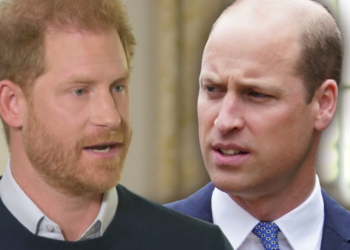 Prince William : la triste raison pour laquelle il a décidé de couper les ponts avec Harry
