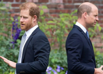 William et Harry : pourquoi les fils de Charles III ne sont pas près de se réconcilier ?