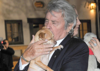 Mort d’Alain Delon : ces mots lourds de sens choisis par lui et gravés sur sa tombe 10 Mort d’Alain Delon : ces mots lourds de sens choisis par lui et gravés sur sa tombe Mort d’Alain Delon : “A la fois triste et…”, le bouleversant témoignage de cet ami intime et célèbre pas encore entendu