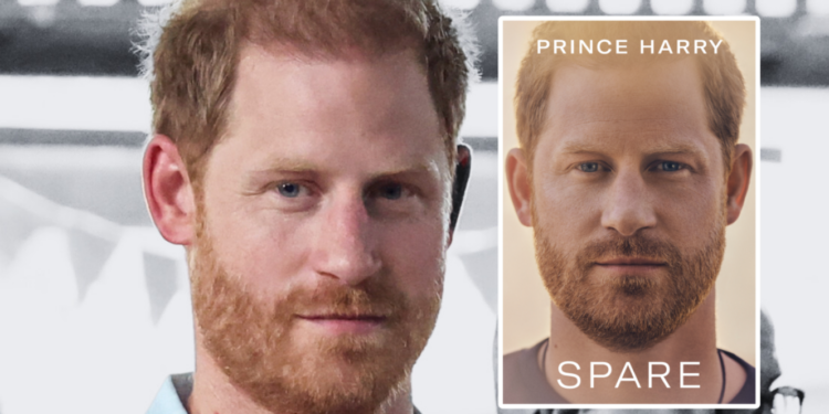 Capture decran 2024 08 28 113117 prince Harry