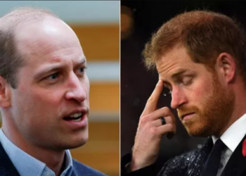 « Un cirque » : les mots durs du prince William sur les nouvelles activités de son frère Harry 10 « Un cirque » : les mots durs du prince William sur les nouvelles activités de son frère Harry « Un cirque » : les mots durs du prince William sur les nouvelles activités de son frère Harry
