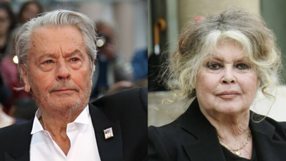 Capture decran 2024 09 04 152203 Brigitte Bardot