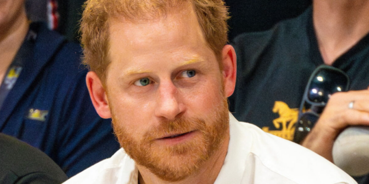 Capture decran 2024 09 05 220112 Prince Harry