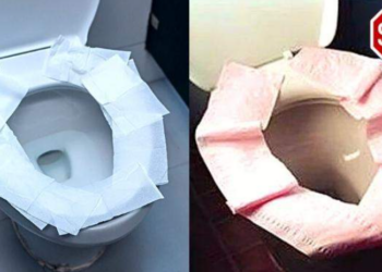 Voici pourquoi il ne faut pas couvrir la cuvette des WC avec du PQ, mais plutôt fuir la chasse d’eau