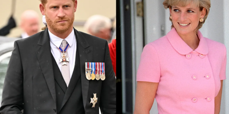 Capture decran 2024 09 23 204211 prince Harry