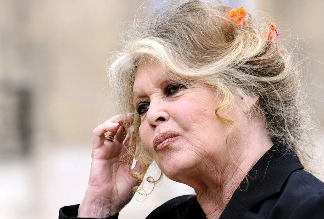 Capture decran 2024 09 26 114429 Brigitte Bardot