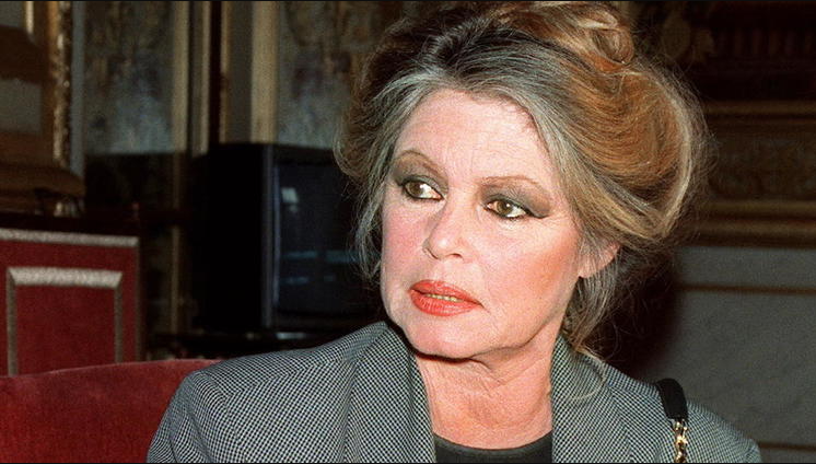 Capture decran 2024 10 03 163023 Brigitte Bardot