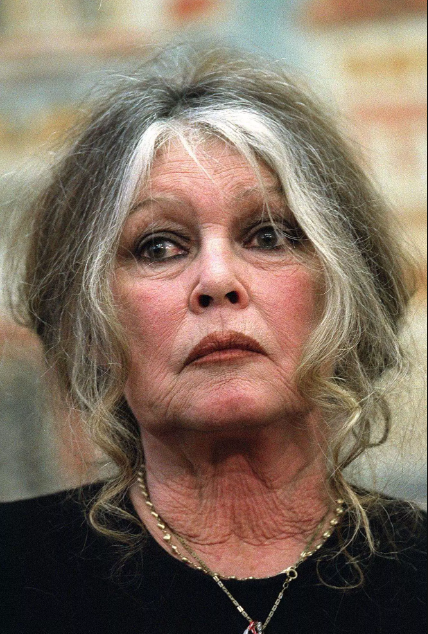 Capture decran 2024 10 03 163037 Brigitte Bardot