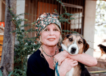 "Je croule sous…" : pour son 90e anniversaire, Brigitte Bardot ne pouvait pas s’attendre à ça 2 "Je croule sous…" : pour son 90e anniversaire, Brigitte Bardot ne pouvait pas s’attendre à ça « Je croule sous… » : pour son 90e anniversaire, Brigitte Bardot ne pouvait pas s’attendre à ça