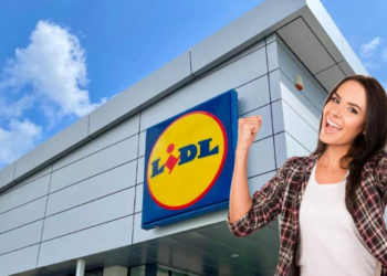 Lidl : quand faire ses courses pour profiter des meilleures promotions ? 14 Lidl : quand faire ses courses pour profiter des meilleures promotions ? Lidl : quand faire ses courses pour profiter des meilleures promotions ?