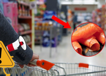 Rappel produit : du saumon et de la truite contaminés, voici les lots concernés 18 Rappel produit : du saumon et de la truite contaminés, voici les lots concernés Rappel produit : du saumon et de la truite contaminés, voici les lots concernés