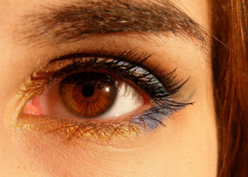 Ce fruit de saison qui peut booster votre vue, selon une étude 4 Ce fruit de saison qui peut booster votre vue, selon une étude Ce fruit de saison qui peut booster votre vue, selon une étude