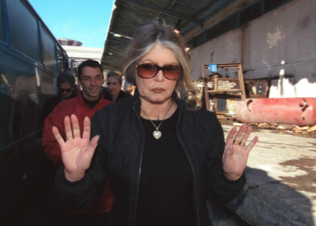 Brigitte Bardot anéantie et « terrifiée », sa maison se retrouve sous l’eau