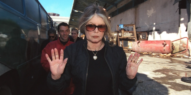 Capture decran 2024 11 07 074246 Brigitte Bardot