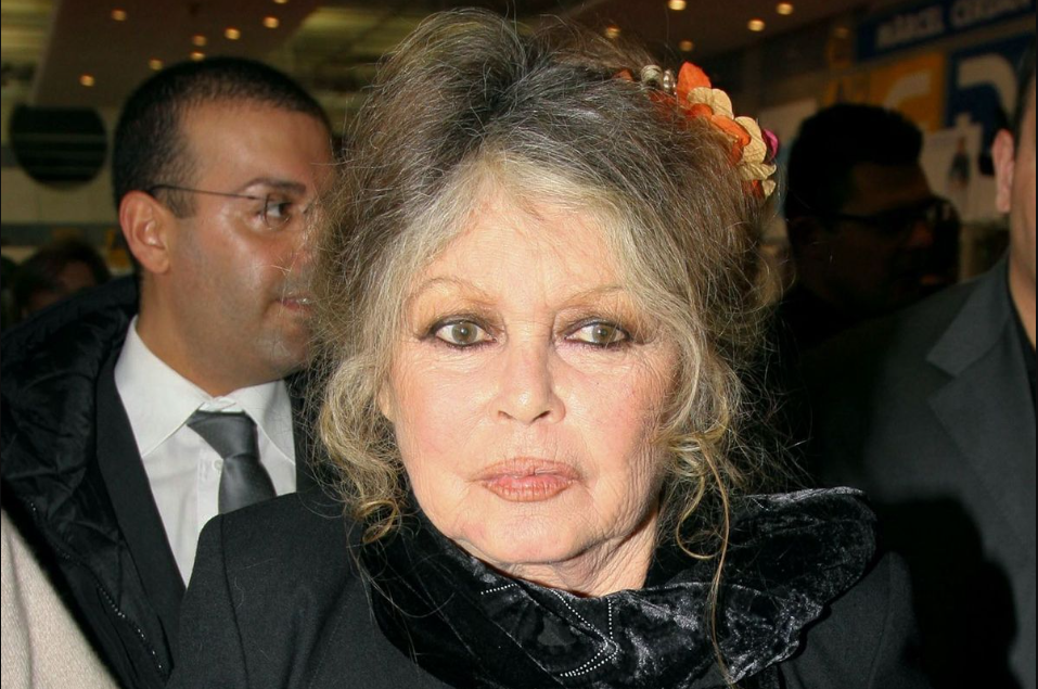 Capture decran 2024 11 07 074352 Brigitte Bardot