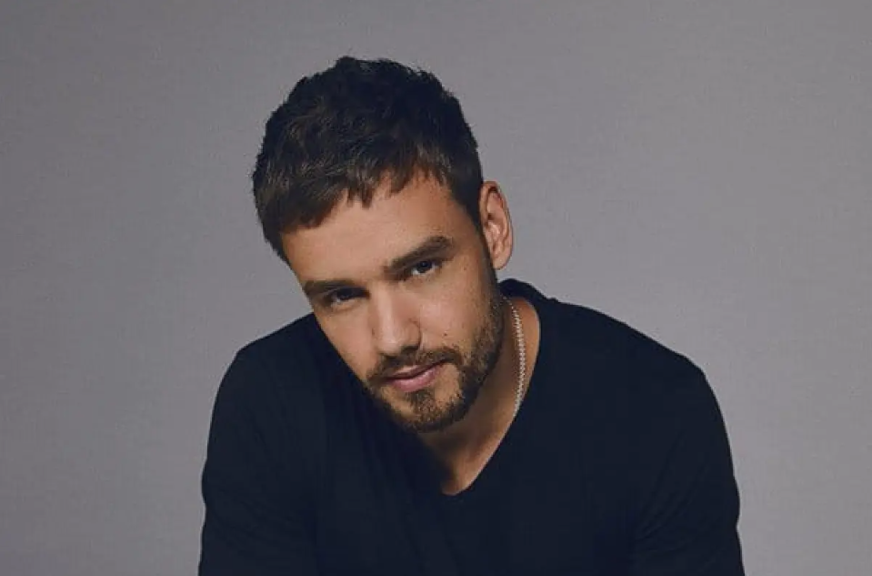 Capture decran 2024 11 08 040554 Liam Payne