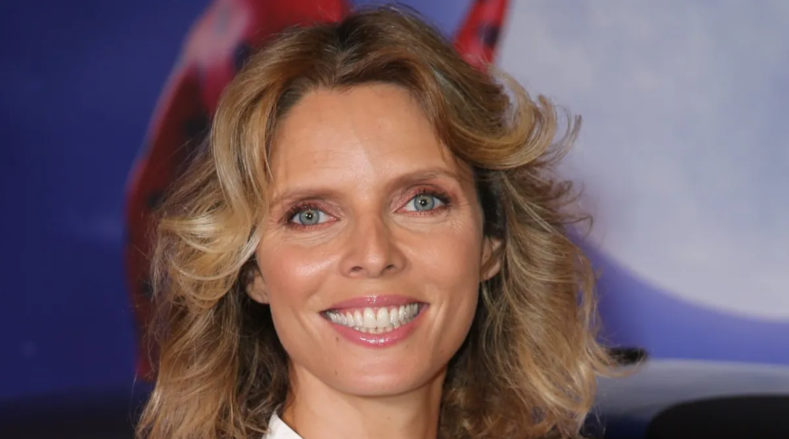 Capture decran 2024 11 18 000154 Sylvie Tellier