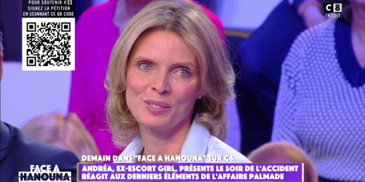 Capture decran 2024 11 18 000235 Sylvie Tellier