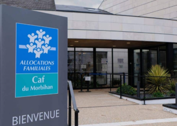 Pourquoi 36% des bénéficiaires du RSA passent à côté de leurs droits (et comment y remédier)