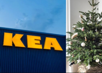 Un sapin de Noël gratuit chez IKEA ? Voici comment en profiter ! 7 Un sapin de Noël gratuit chez IKEA ? Voici comment en profiter ! Un sapin de Noël gratuit chez IKEA ? Voici comment en profiter !