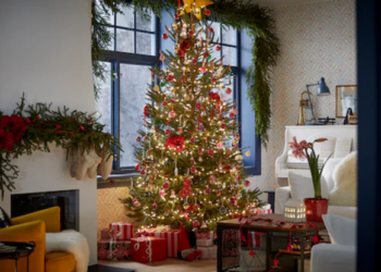 Prime de Noël: êtes-vous éligible à cette aide pouvant dépasser les 500 euros? 14 Prime de Noël: êtes-vous éligible à cette aide pouvant dépasser les 500 euros? Un sapin de Noël gratuit chez IKEA ? Voici comment en profiter !