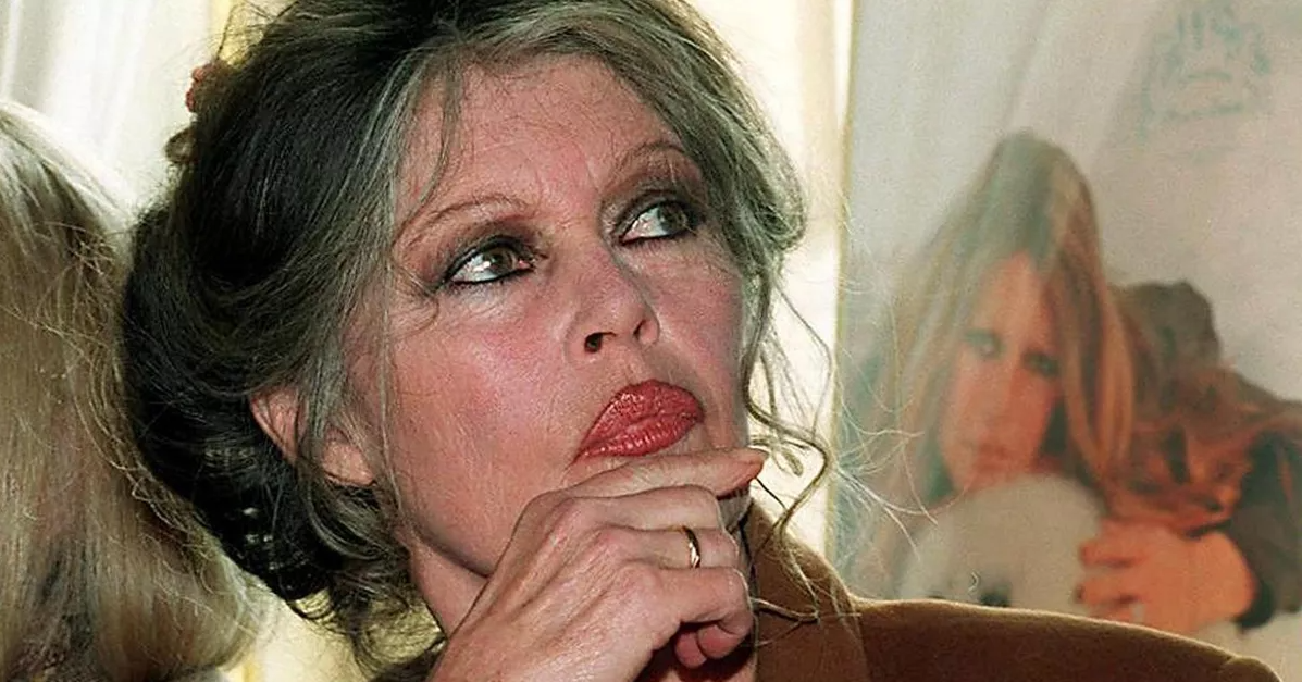 Capture decran 2024 12 18 165409 Brigitte Bardot