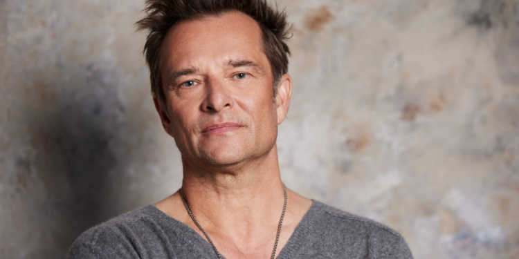 Capture decran 2025 01 22 151508 David Hallyday