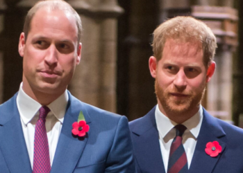 William et Harry : pourquoi n’hériteront-ils pas de la maison dans laquelle Diana a grandi ?