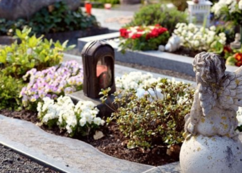 Un retraité informé de sa mort par… sa mutuelle