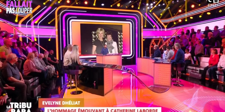 Capture decran 2025 01 30 102227 Catherine Laborde