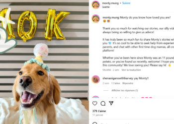 TÉMOIGNAGE. “Voilà combien mon chien a gagné grâce à son compte Instagram”
