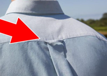 Pourquoi les chemises ont des boucles dans le dos ?