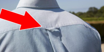 Pourquoi les chemises ont des boucles dans le dos ?