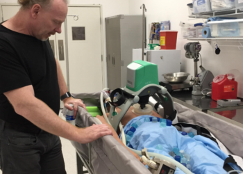 Quel est l’état actuel du milliardaire ayant cryogénisé son corps il y a 50 ans et réanimé en 2017 ?