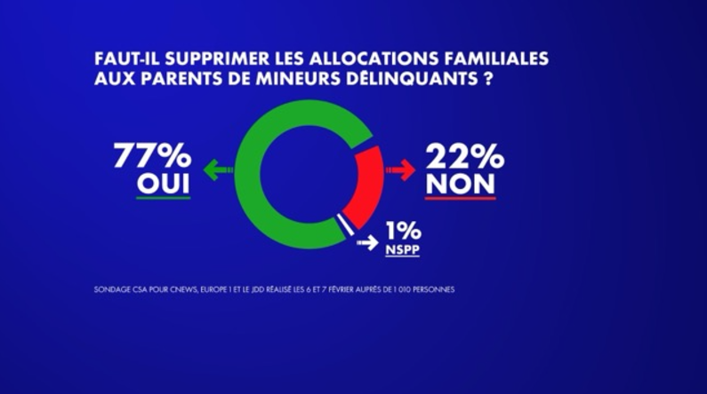 Capture decran 2025 02 11 163119 Sondage